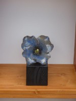 /album/fleurs-vases/fleur-sur-pied-11-jpg/